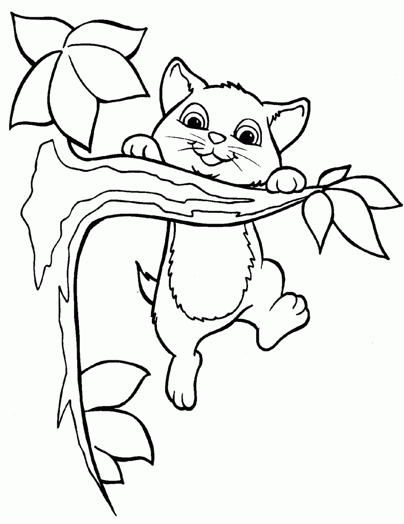 kitten in tree image for coloring