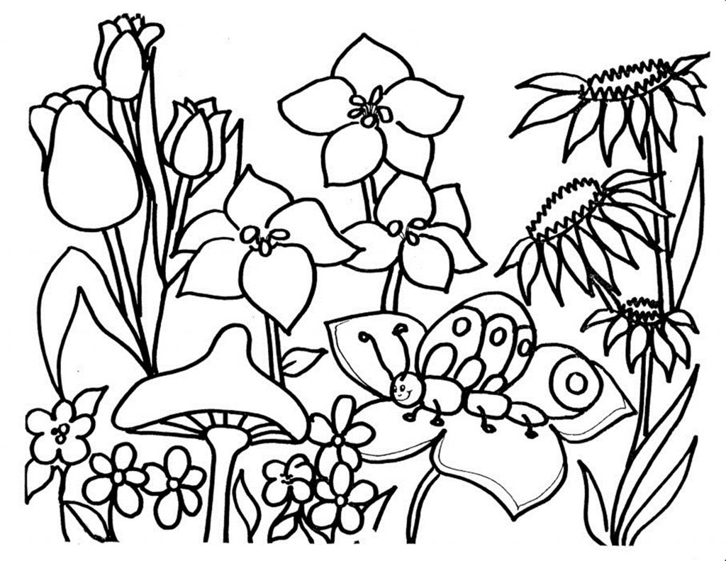 pictures for coloring flowers