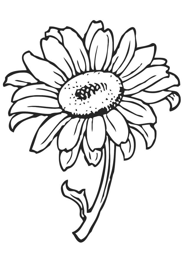 Free Printable Flower Coloring Pages For Kids Best