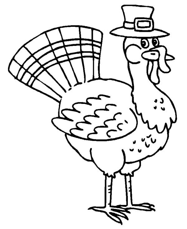thanksgiving-turkey-in-pilgrim-hat-coloring-page
