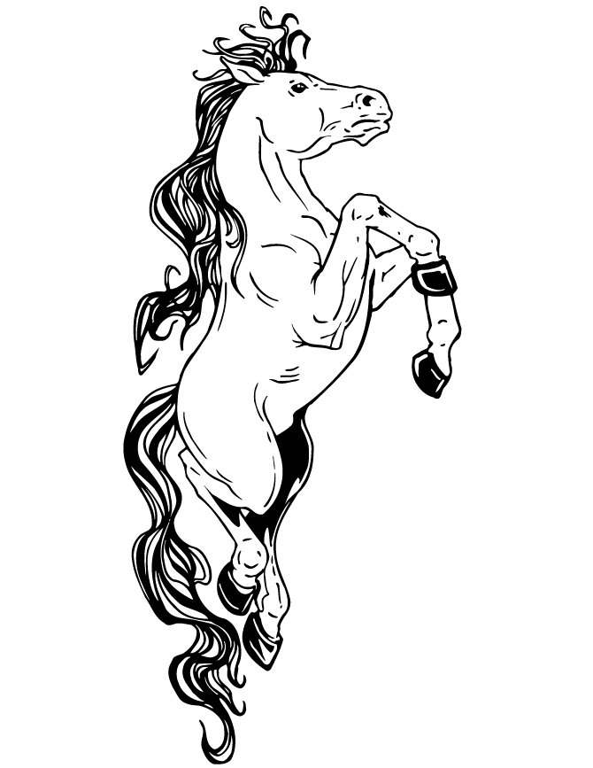 Fantasy Coloring Pages Horse