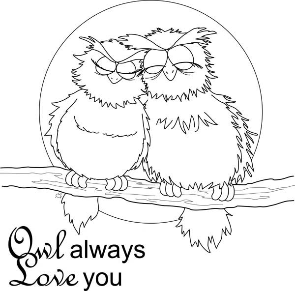 Valentine Coloring Pages - Owls