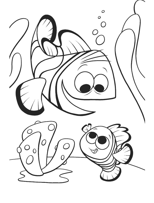 Dory Coloring Pages - Best Coloring Pages For Kids