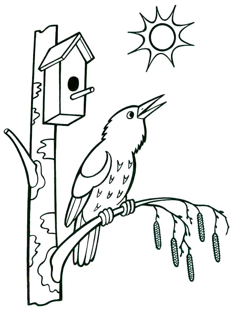 Bird Singing In Spring Coloring Page