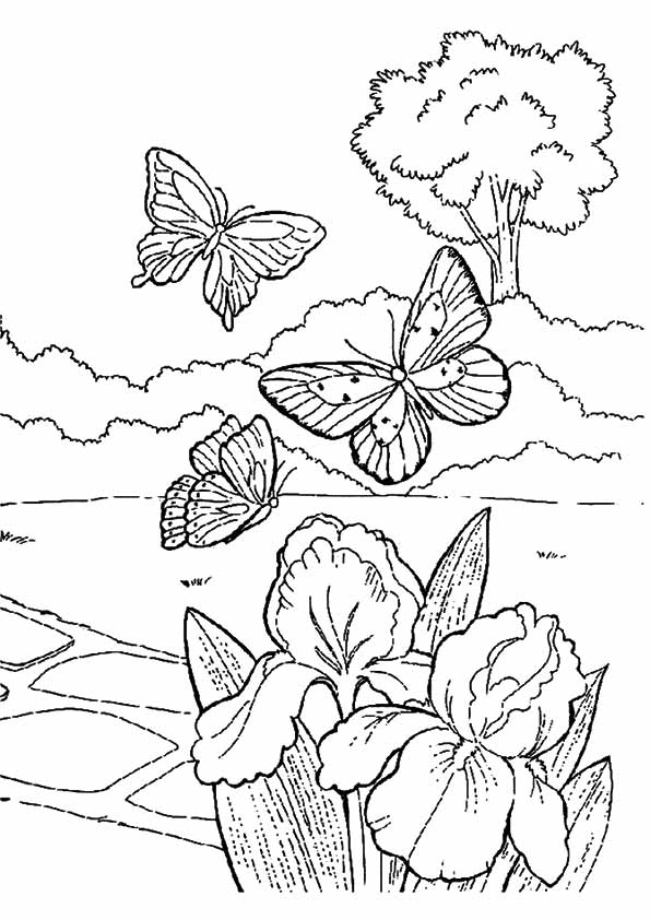 Free Printable Spring Coloring Page