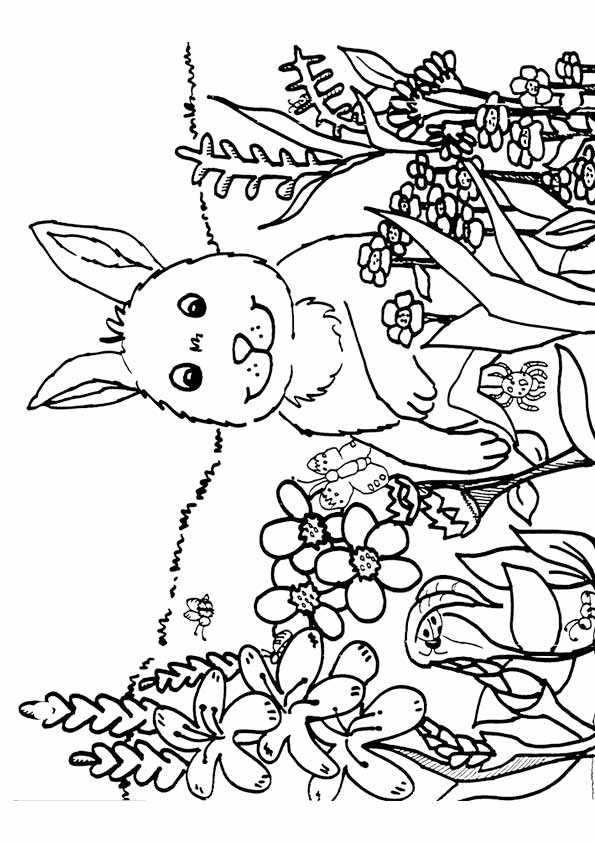 Spring Colouring Pages Free Printable