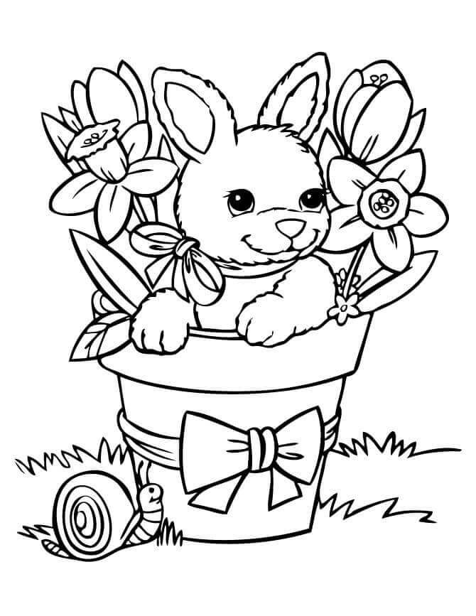 Rabbit In Spring Flowers Coloring Page