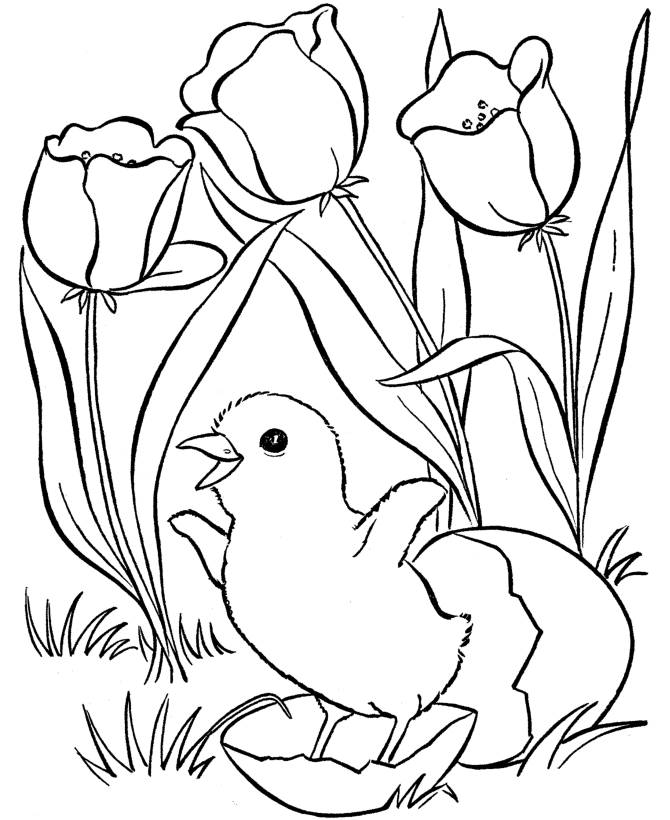 Spring Coloring Pages Tulips and Egg