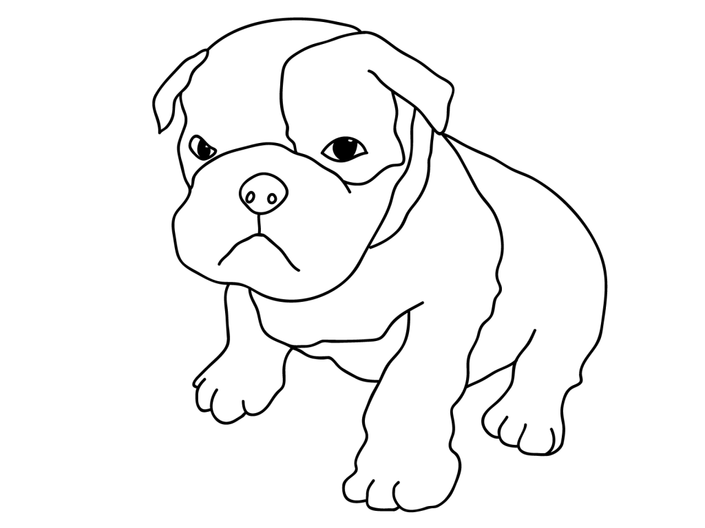 Bulldog Puppy Coloring Pages