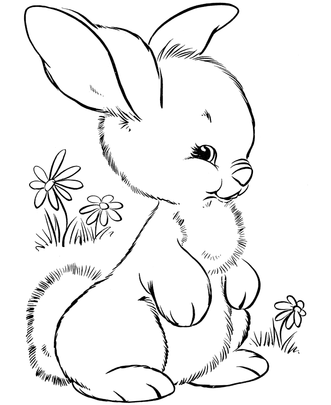 Bunny Coloring Pages - Best Coloring Pages For Kids