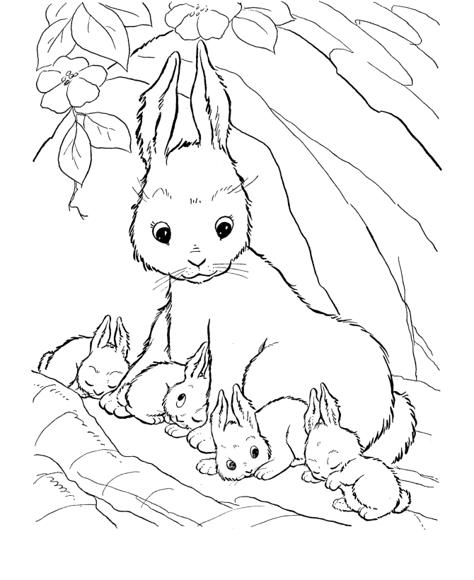 Bunny Coloring Pages - Best Coloring Pages For Kids