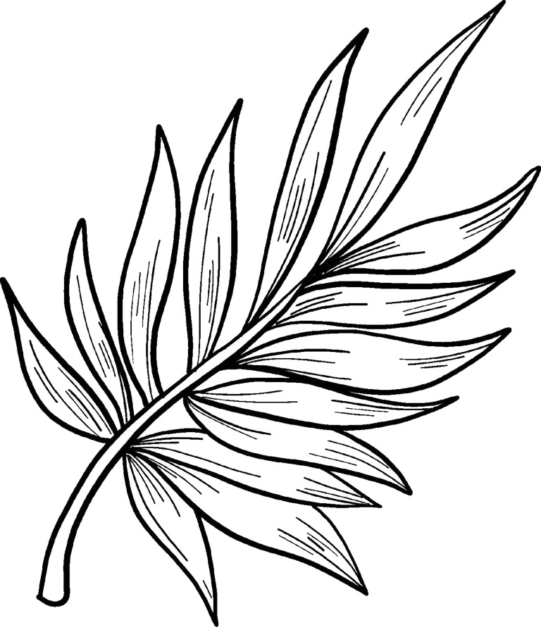 Palms Coloring Page