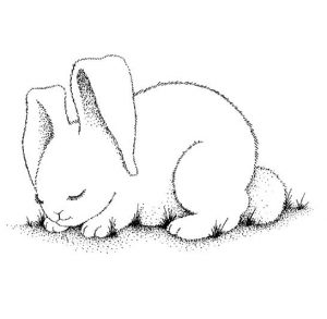 Bunny Coloring Pages - Best Coloring Pages For Kids