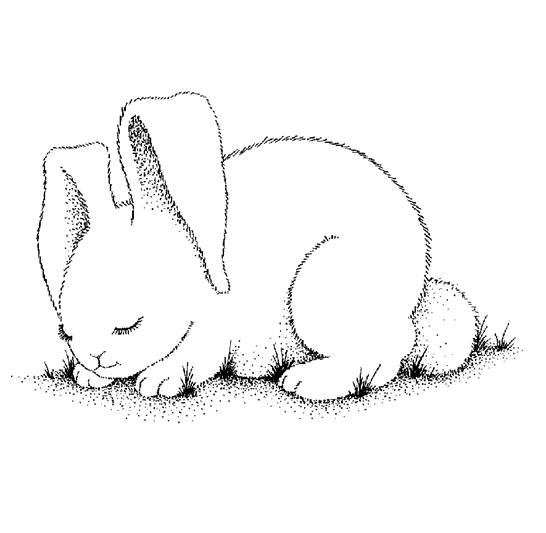 Print Free Bunny Coloring Pages