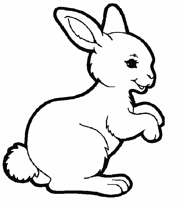 Bunny Coloring Pages - Best Coloring Pages For Kids