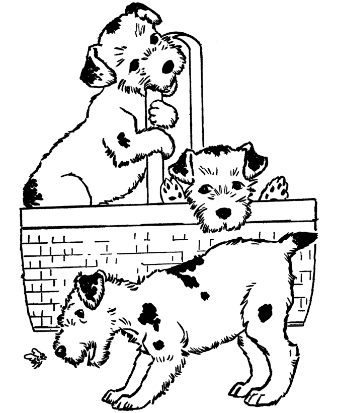 Puppies In A Basket Coloring Page