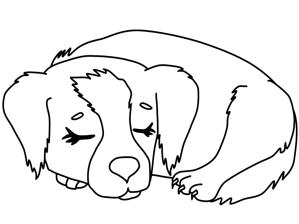 Sleeping Puppy Coloring Pages