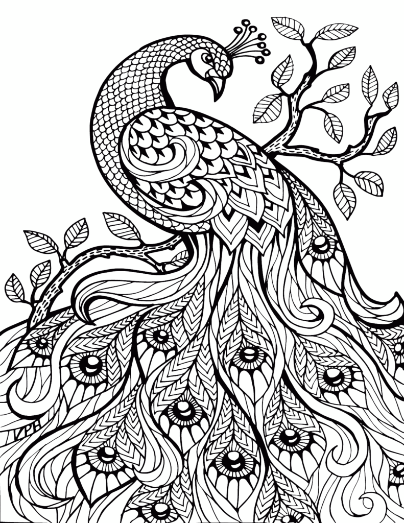 Detailed Peacock Coloring Page