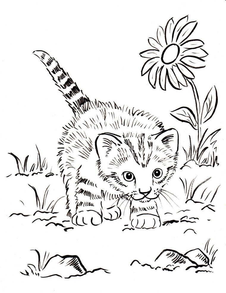 Free Kitten Coloring Page