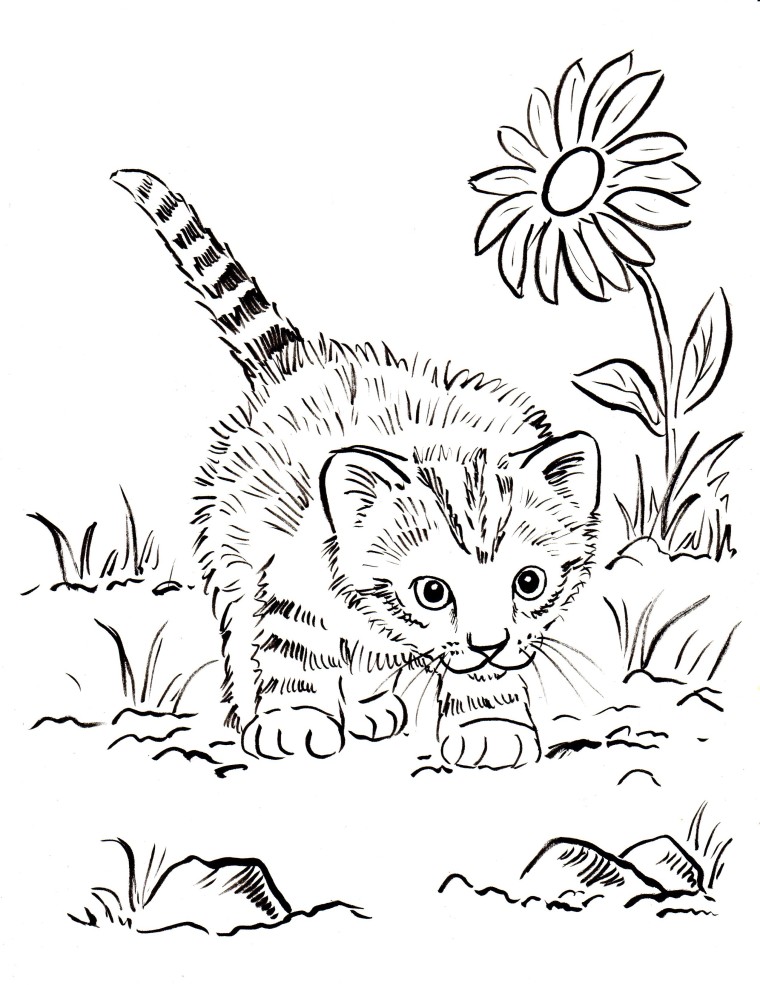 Kitten Coloring Pages - Best Coloring Pages For Kids