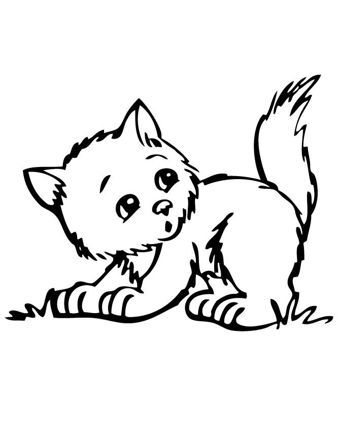 Kitten Coloring Pages Printables