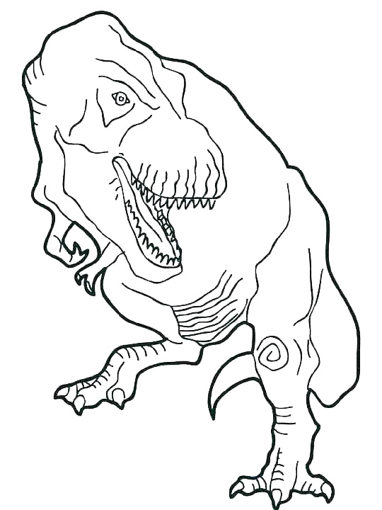 T Rex Line Drawing To Color
