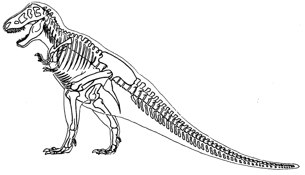 T Rex Skeleton Coloring Page