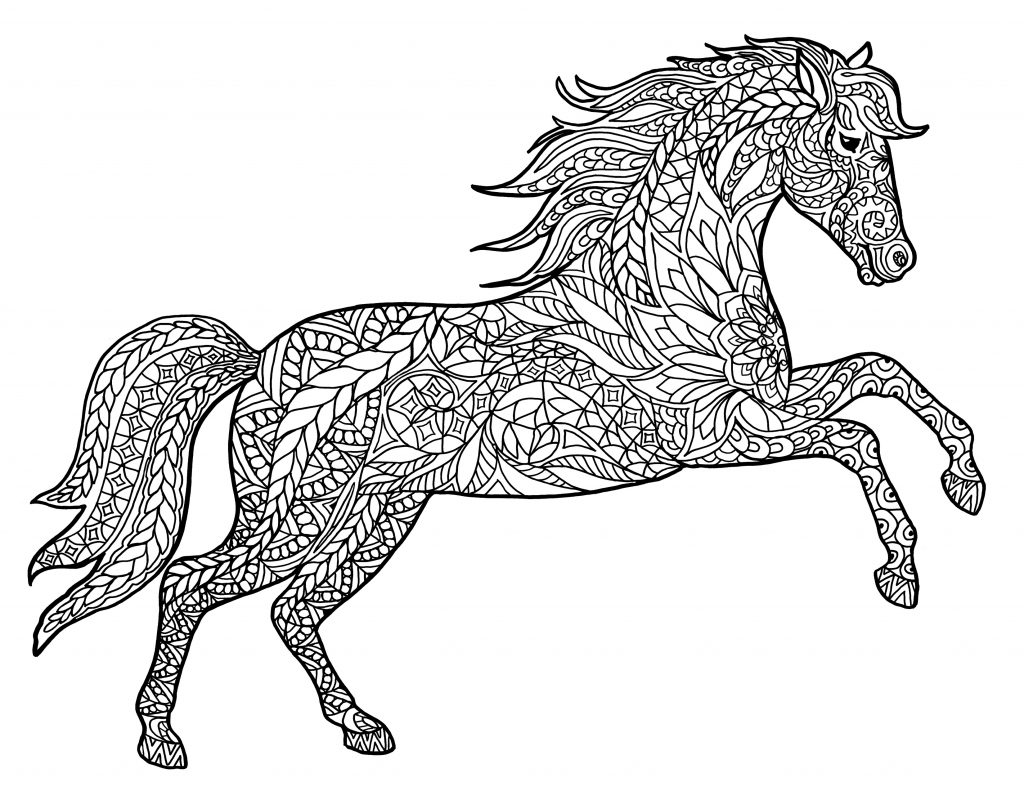 Animal Coloring Pages for Adults - Horse