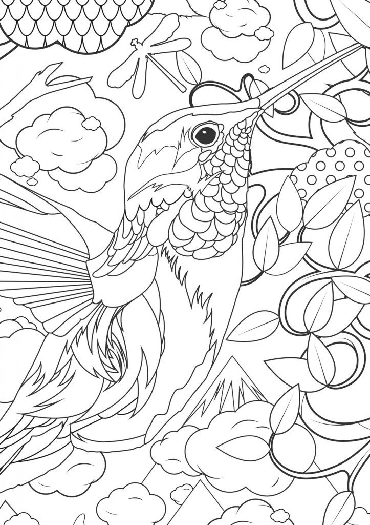 Adult Coloring Pages Animals - Humminbird