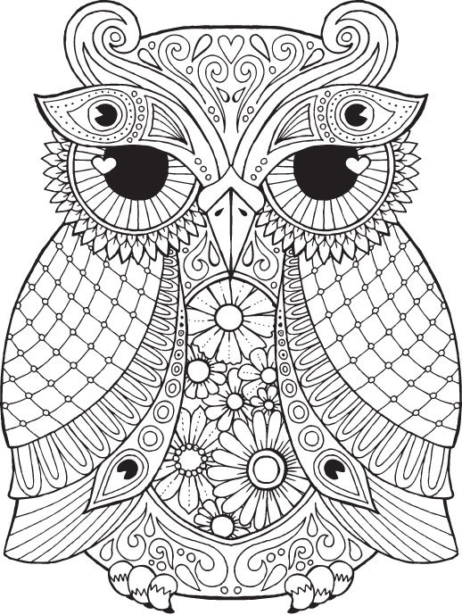 Owl Coloring Pages for Adults