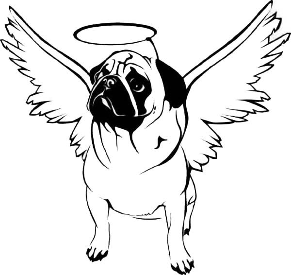 Angel Pug Coloring Page