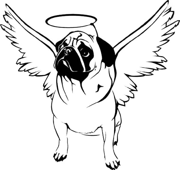 Pug Coloring Pages - Best Coloring Pages For Kids