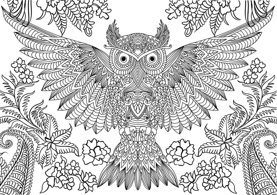 Owl Coloring Pages for Adults.