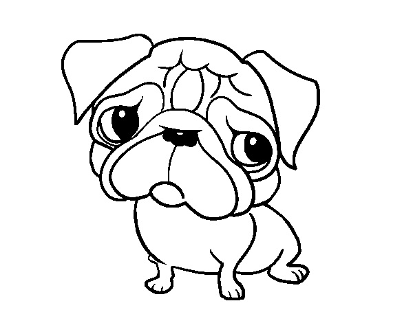 Cute Pug Coloring Pages