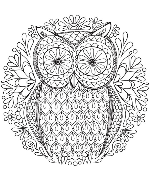 coloring owl adults difficult detailed