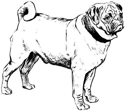 Download Pug Coloring Pages