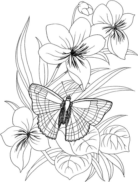 Flower Coloring Page for Adults Printable