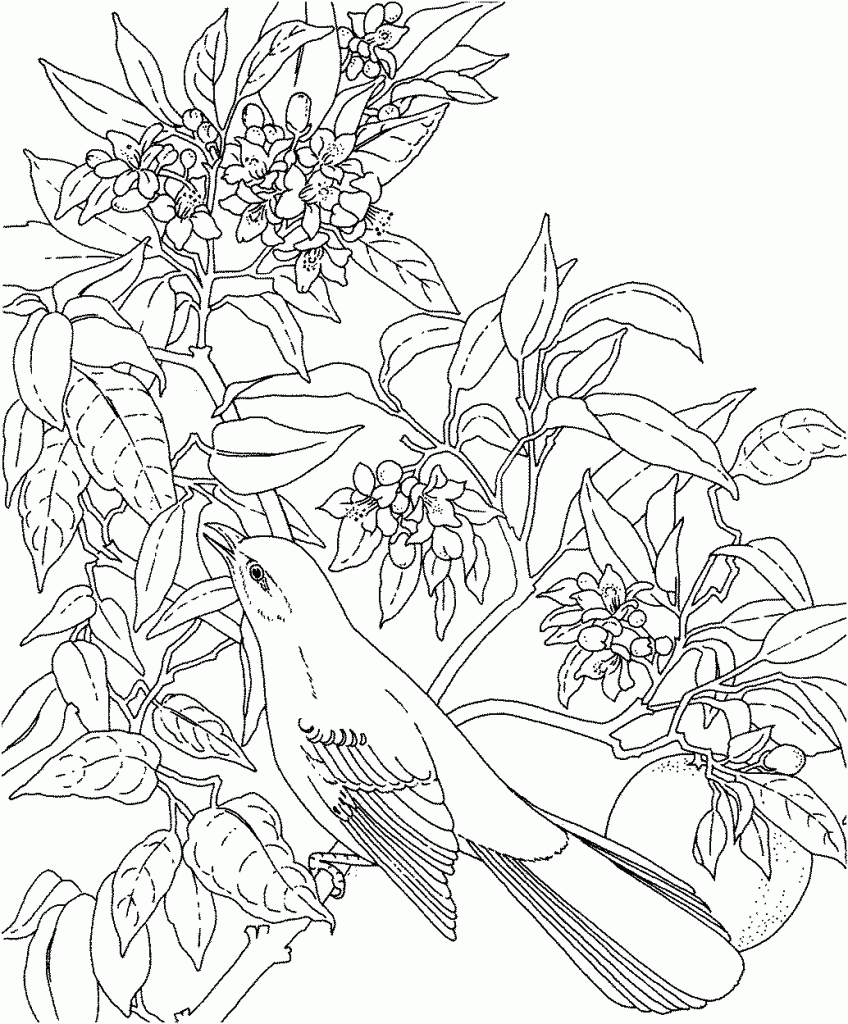 Flower Coloring Pages