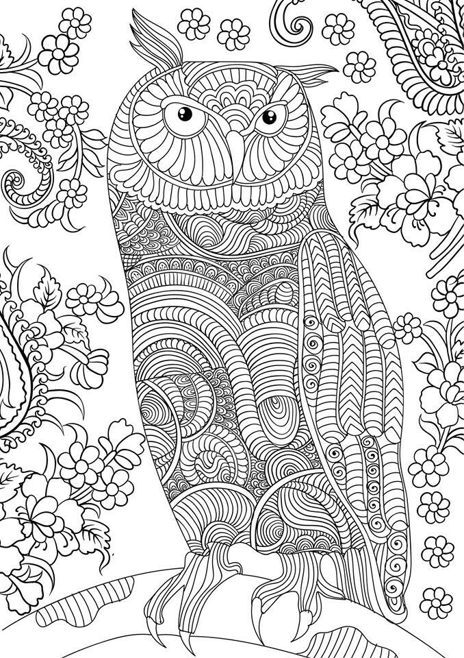 OWL Coloring Pages for Adults. Free Detailed Owl Coloring 