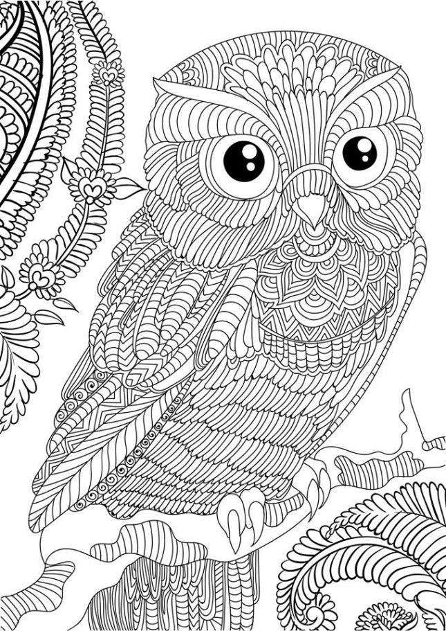 OWL Coloring Pages for Adults. Free Detailed Owl Coloring Pages