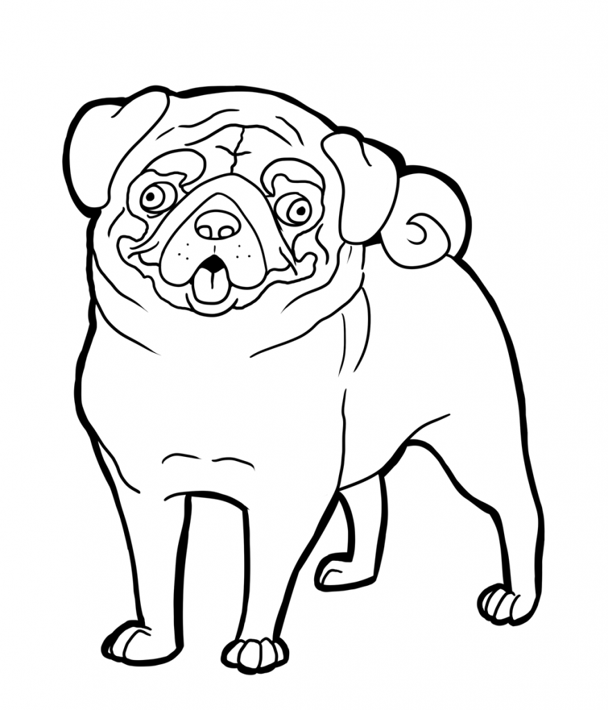 pug-coloring-pages-best-coloring-pages-for-kids