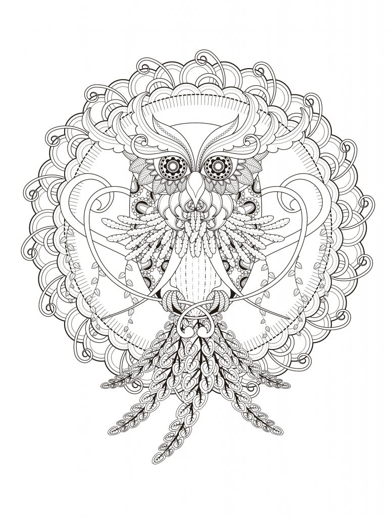 Print Free Owl Coloring Page for Adults