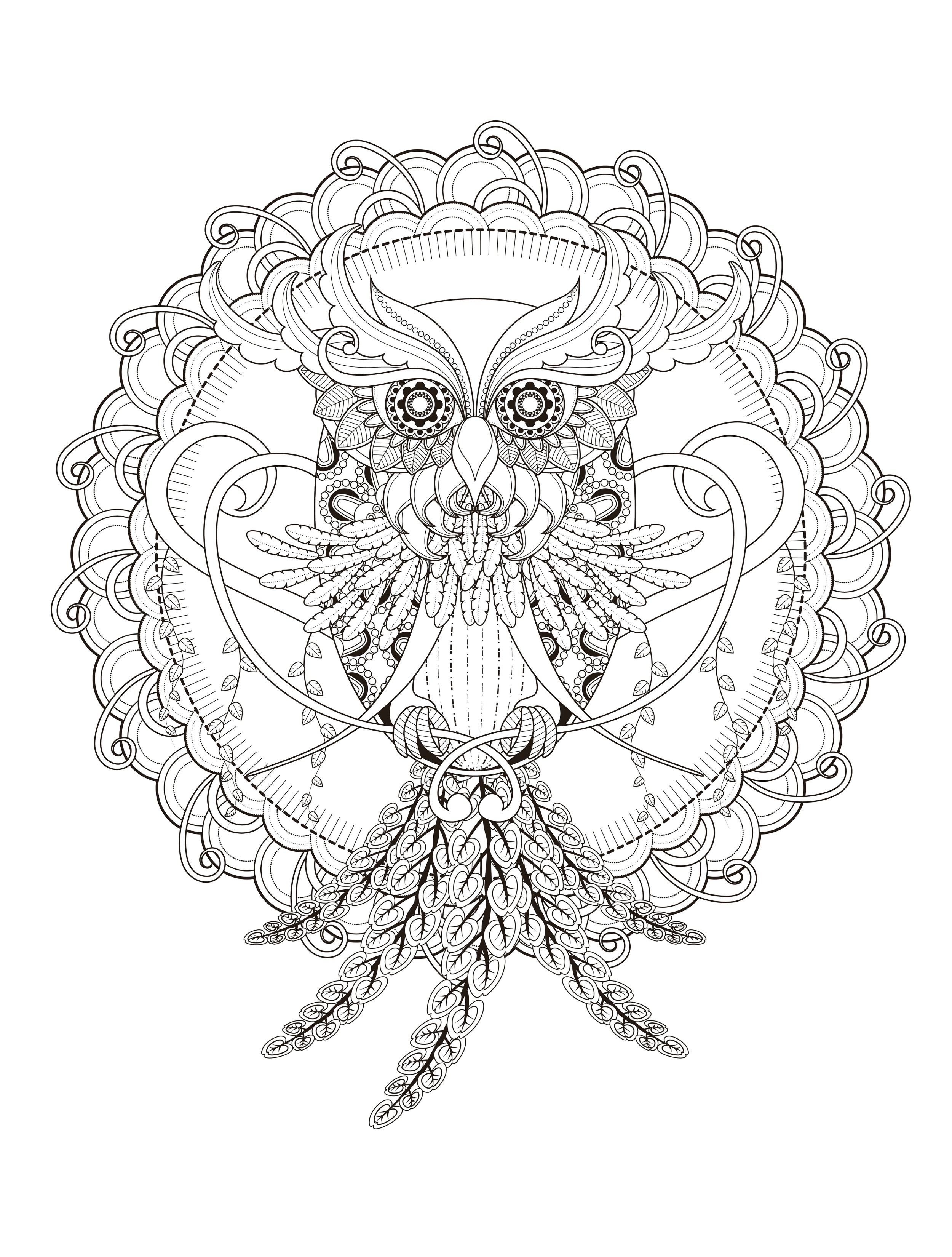 Owl coloring page for adults