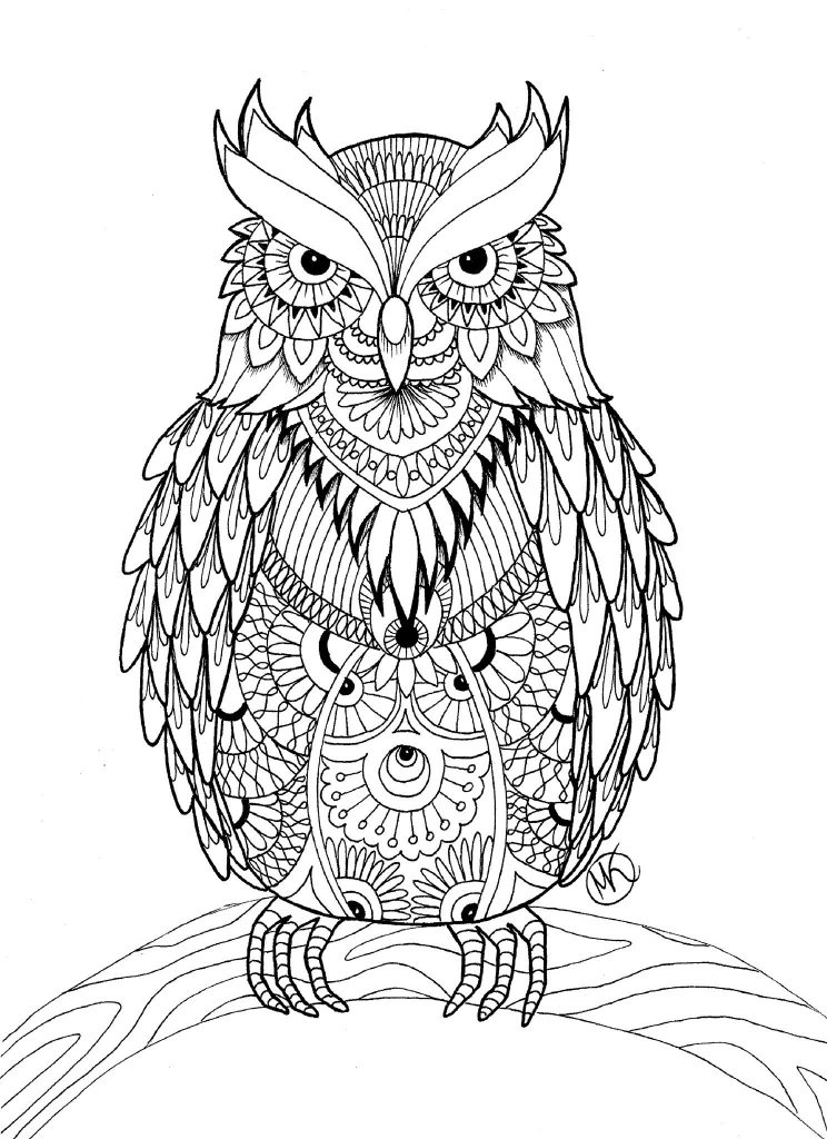 coloring adults owl detailed