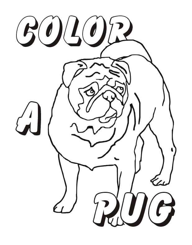 Print Pug Coloring Pages