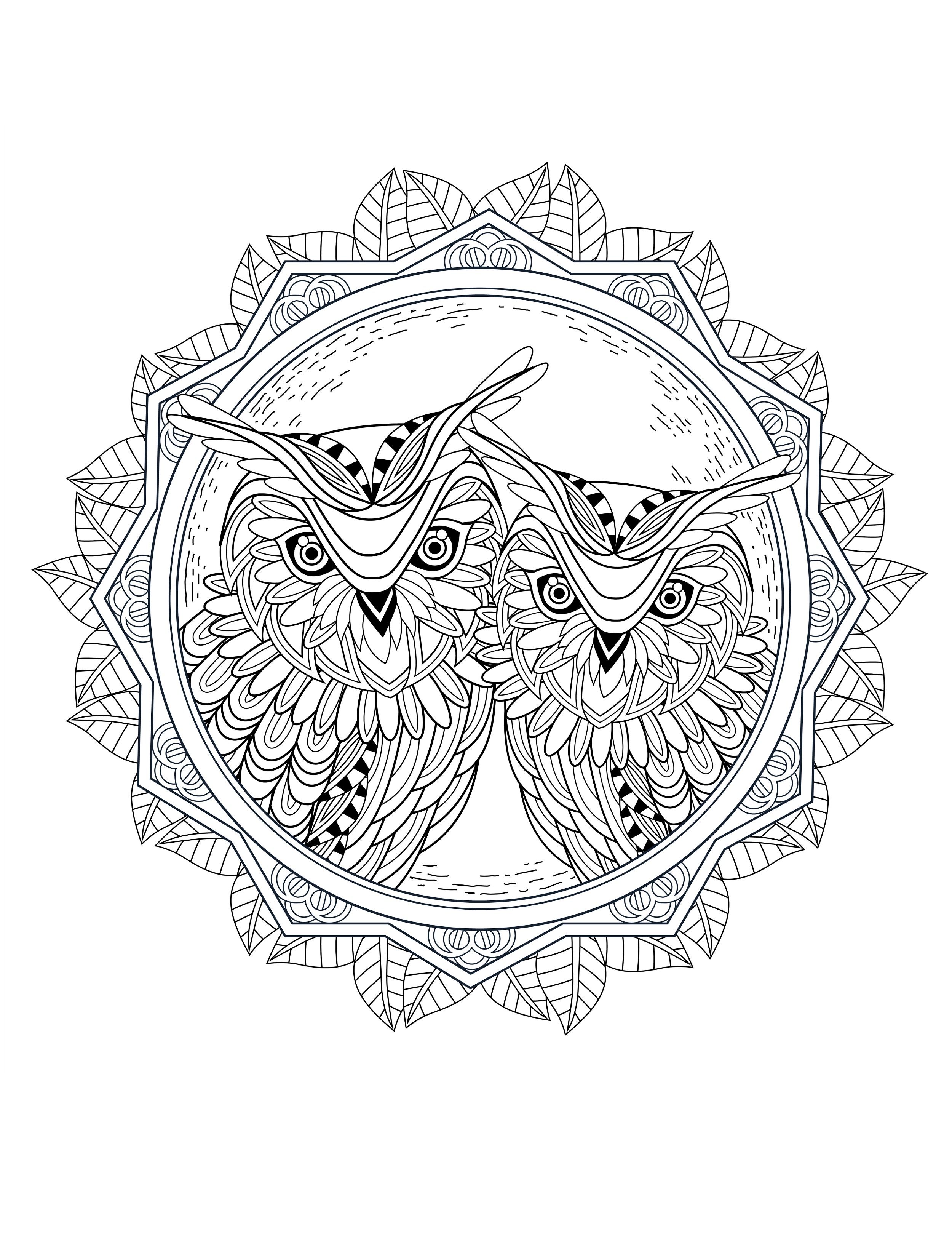 OWL Coloring Pages for Adults. Free Detailed Owl Coloring Pages