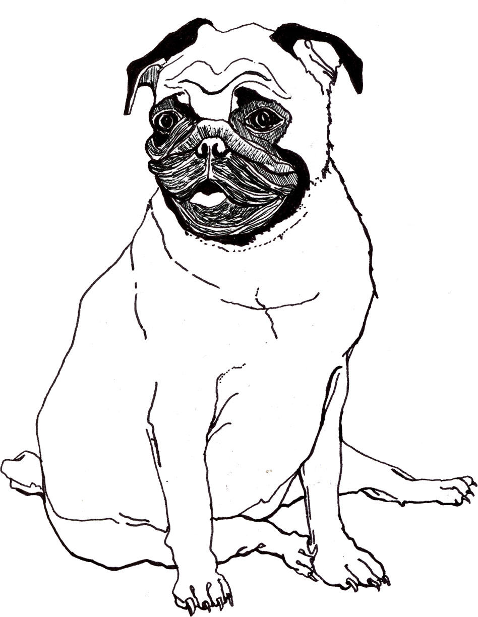 Pug Coloring Pages - Best Coloring Pages For Kids