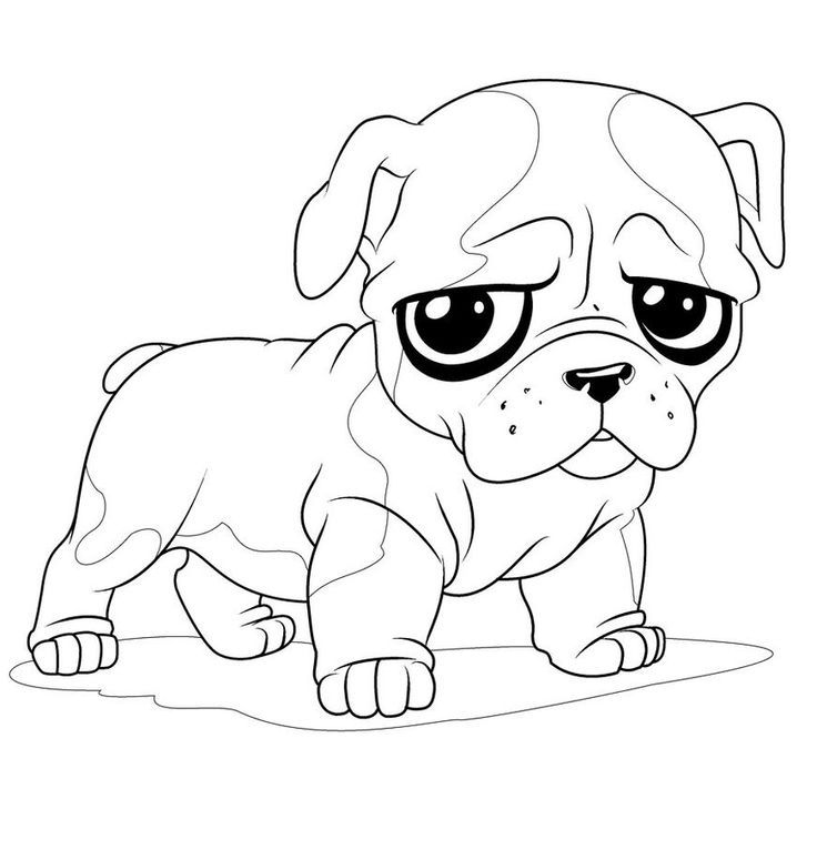 Pug Puppy Coloring Pages