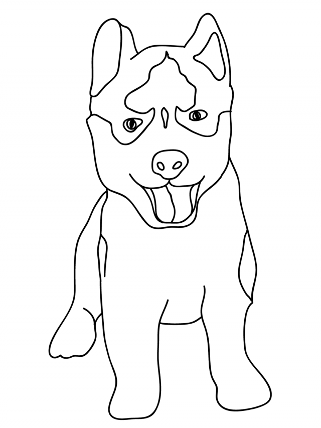 Baby Husky Coloring Pages