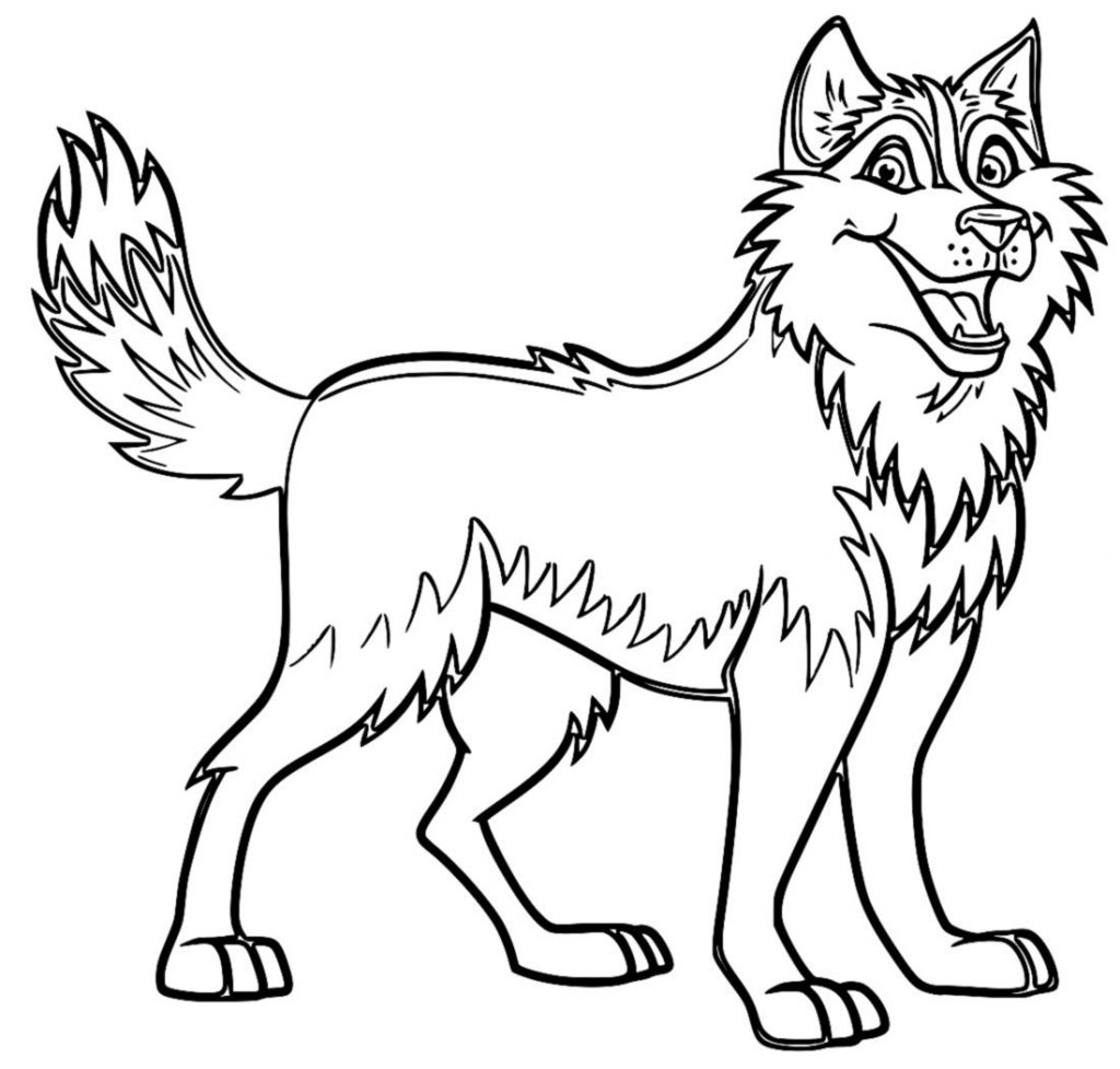 Dog Coloring Page Husky